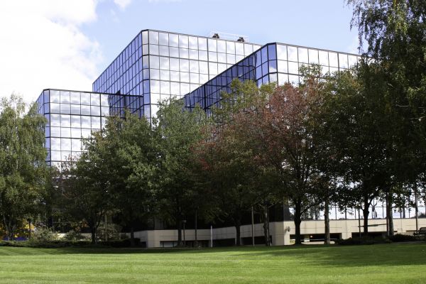 Commercial Tree Trimming in Lees Summit